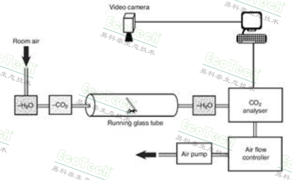 Macintosh HD:Users:cqyu:Desktop:Ecotech-Suppliers::Sablesys.com:Reference:޼׵:Ants:ant respirometry.jpg